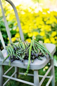 asparagus-825755_1920